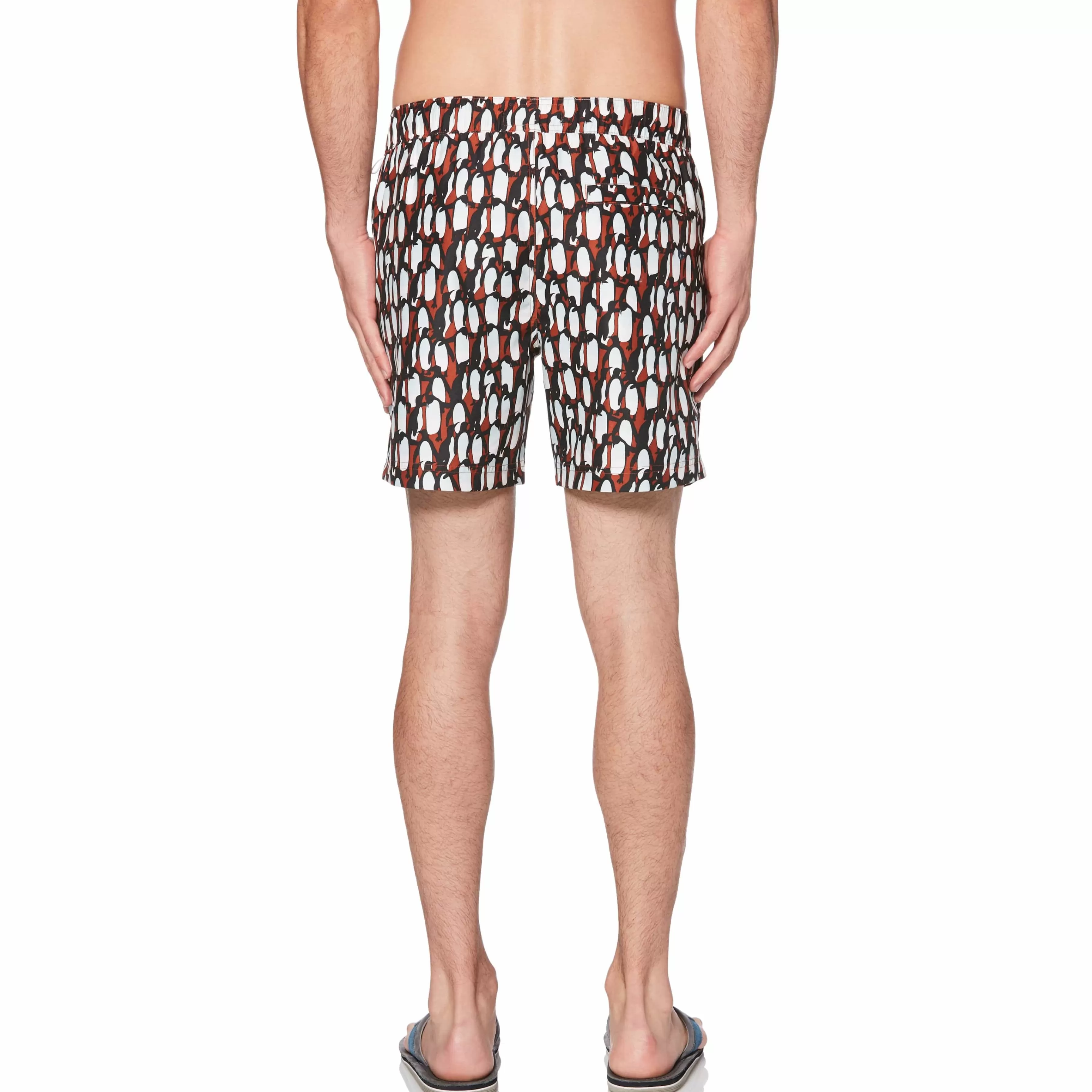 Outlet Penguin Print Swim Short Men Swim